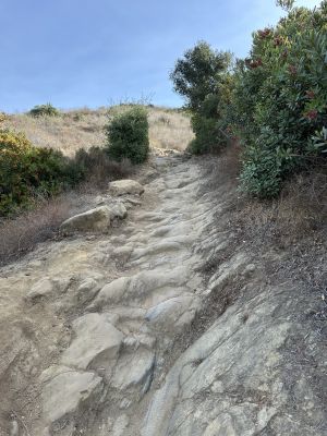 Santiago Oaks - Moutain Goat Trail