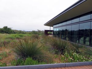 Laguna Coast Wilderness - Nix Nature Center