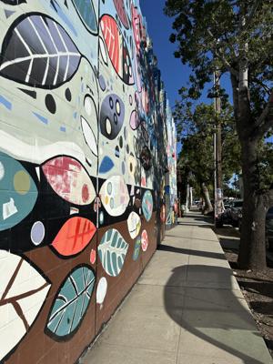 Murals on Santa Barbara st